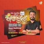 Social Media Post Design - Image 10